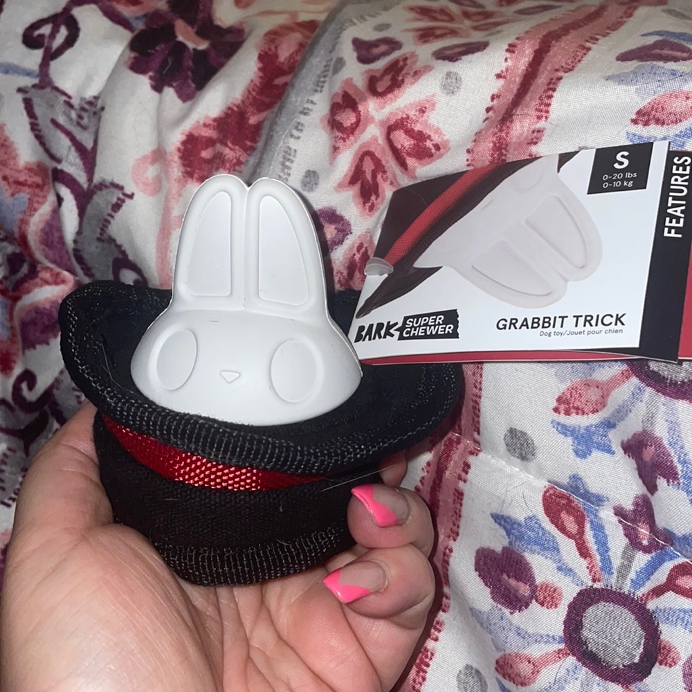 BARK BOX super chewer grabbit